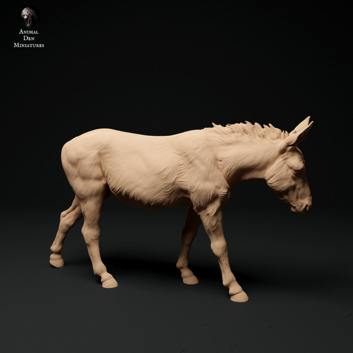 ADM1015 Common Donkey A