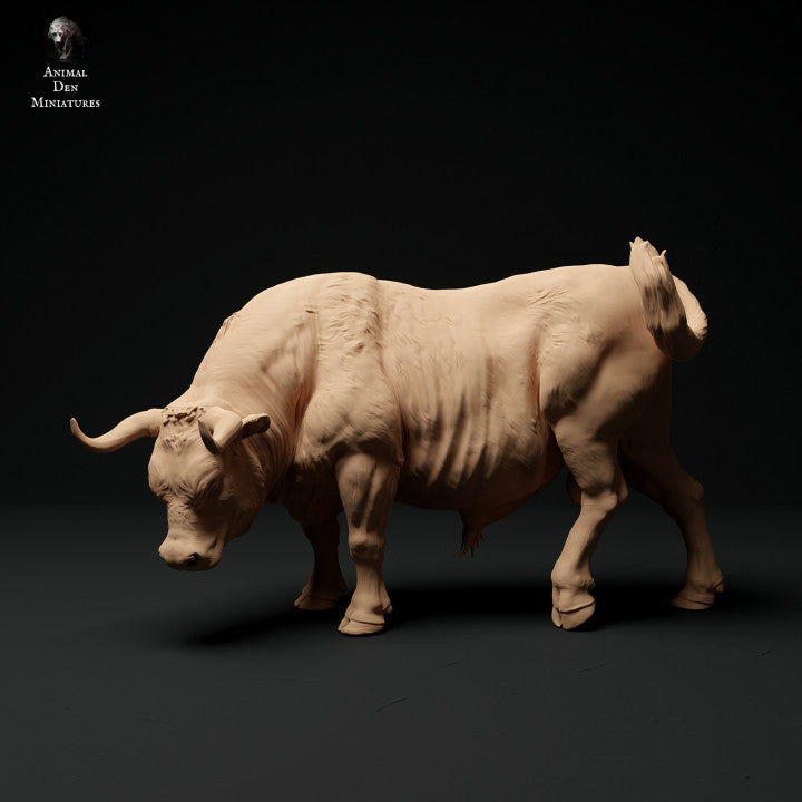 Adm1004 Red-Devon-Bull-Grazing Animal