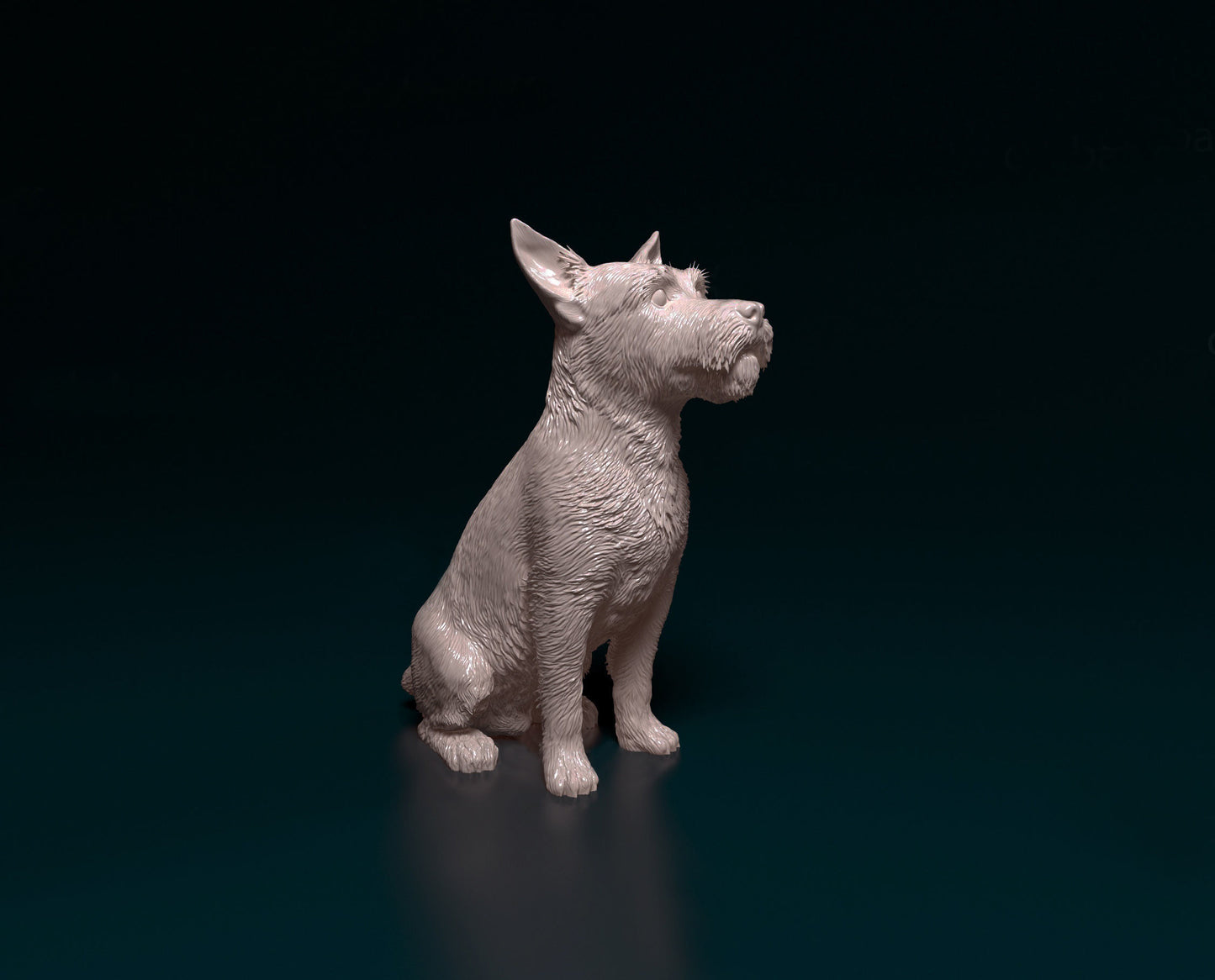 MMD047 Jack Russell wire haired