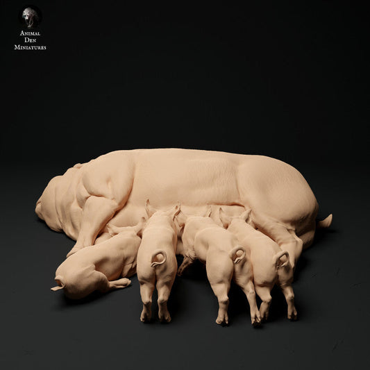 Adm2017 Berkshire Pig And Piglets Animal