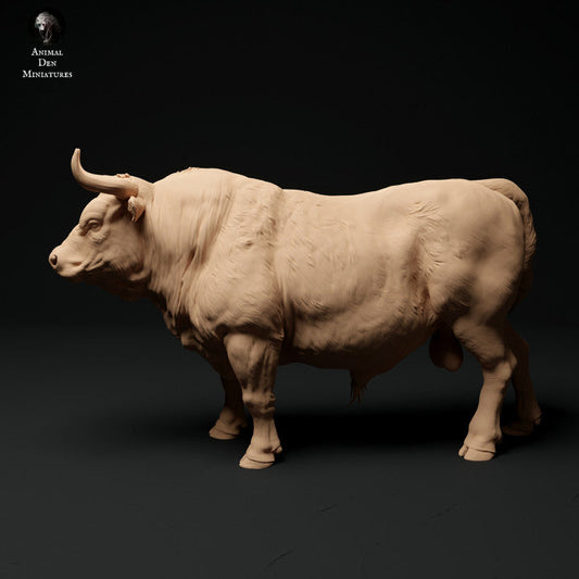Adm1003 Red-Devon-Bull Animal
