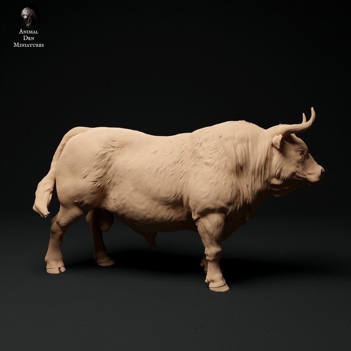 Adm1003 Red-Devon-Bull Animal