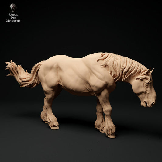Adm1006 Suffolk-Punch-Horse-Feeding Animal