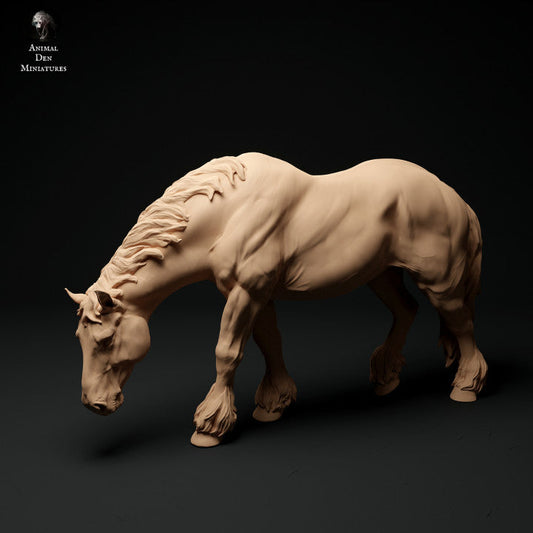 Adm1010 Suffolk-Punch-Mare-Grazing Animal