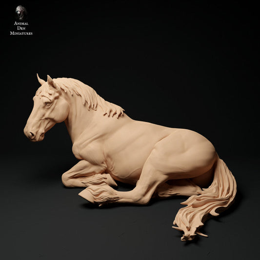 Adm1011 Suffolk-Punch-Mare-Lying Animal