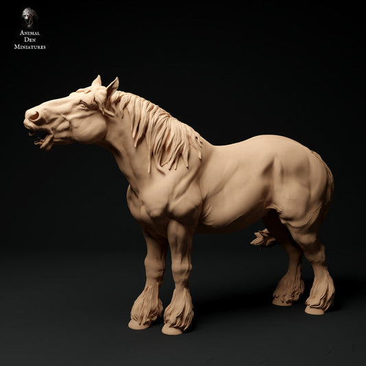 Adm1007 Suffolk-Punch-Horse-Neigh X 1 Animal