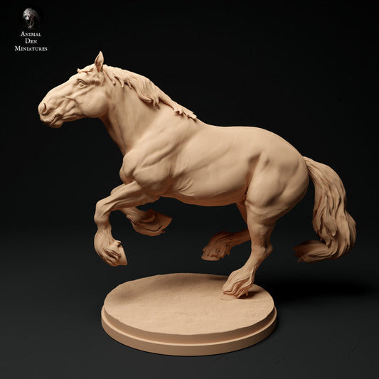 Adm1008 Suffolk-Punch-Horse-Running Animal