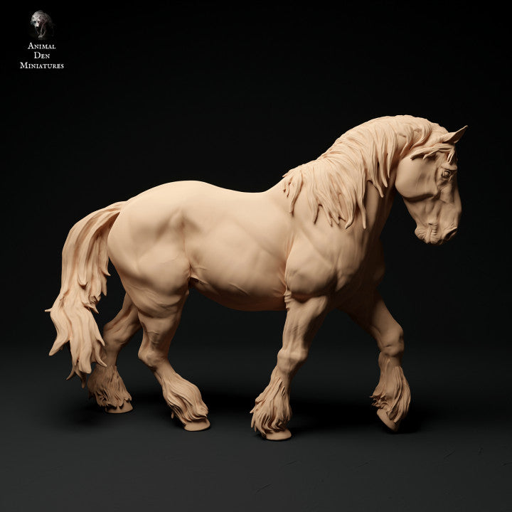 Adm1009 Suffolk-Punch-Horse-Walk Animal