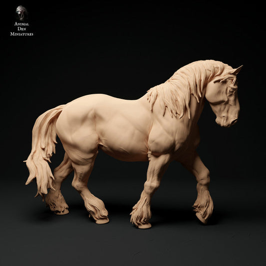 Adm1009 Suffolk-Punch-Horse-Walk Animal