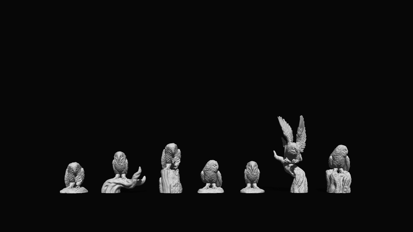 Adm2008 Barn Owl Collection Animal